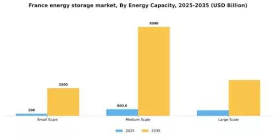 France Energy Storage Market Segment Image 2