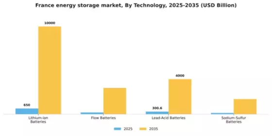 France Energy Storage Market Segment Image 3