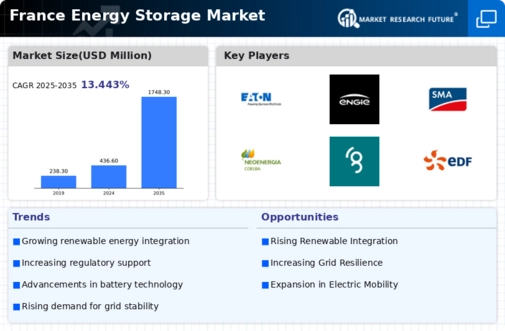 France Energy Storage Market Infographic