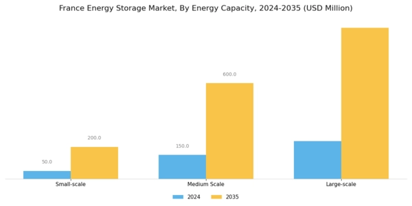 France Energy Storage Market Segment Image 3