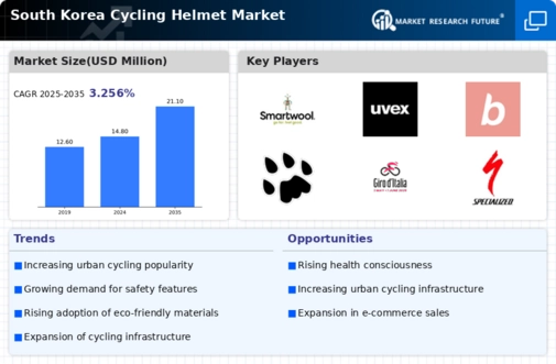 South Korea Cycling Helmet Market Infographic