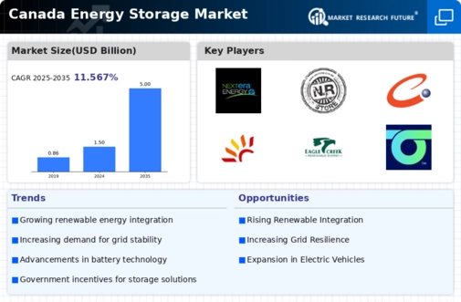 Canada Energy Storage Market Infographic