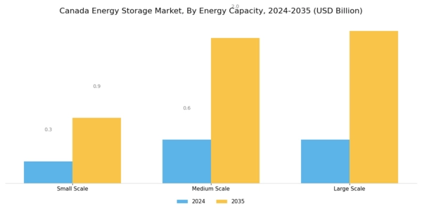 Canada Energy Storage Market Segment Image 3