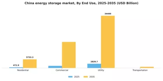 China Energy Storage Market Segment Image 1
