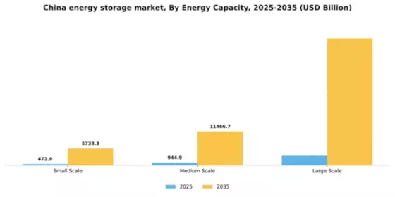 China Energy Storage Market Segment Image 2