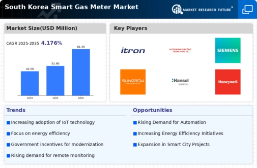 South Korea Smart Gas Meter Market Infographic