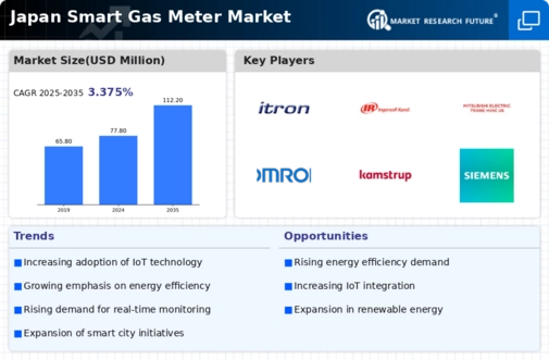 Japan Smart Gas Meter Market Infographic