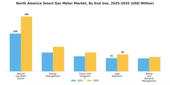 North America Smart Gas Meter Market Segment Image 3