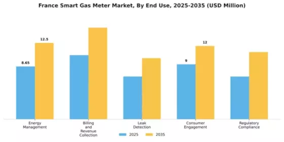 France Smart Gas Meter Market Segment Image 1
