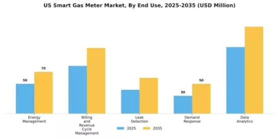 US Smart Gas Meter Market Segment Image 1