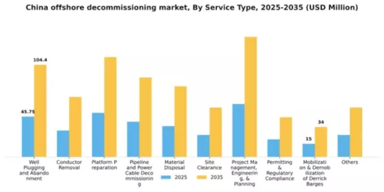 China Offshore Decommissioning Market Segment Image 1