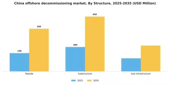 China Offshore Decommissioning Market Segment Image 2