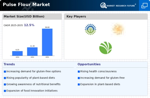 Pulse Flours Market Infographic