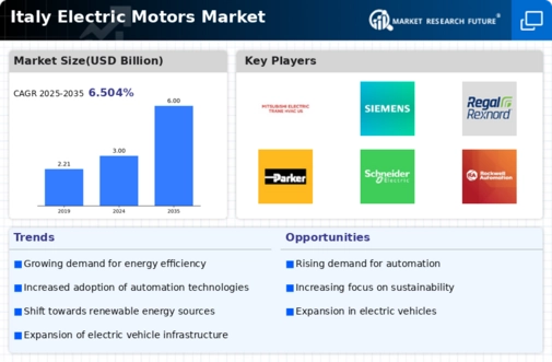 Italy Electric Motors Market Infographic