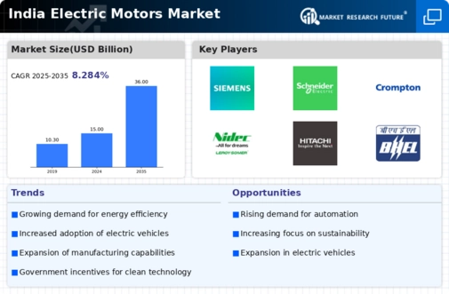 India Electric Motors Market Infographic