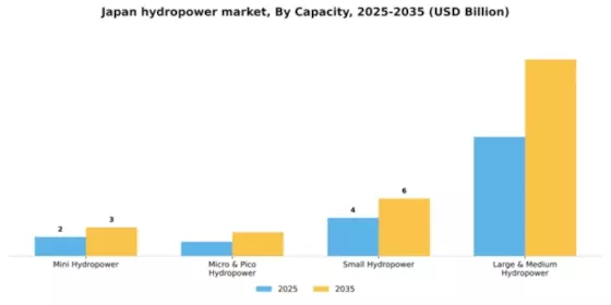 Japan Hydropower Market Segment Image 0