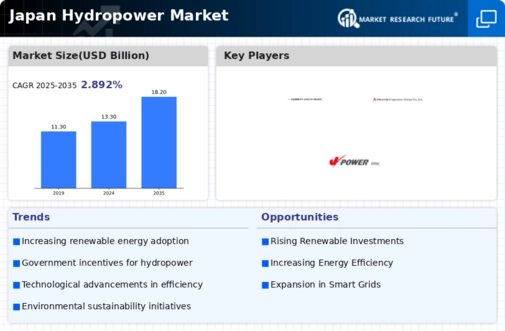 Japan Hydropower Market Infographic