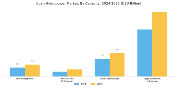Japan Hydropower Market Segment Image 0