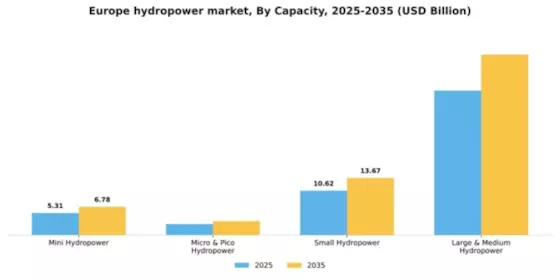 Europe Hydropower Market Segment Image 0