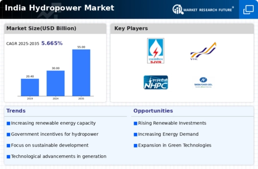 India Hydropower Market Infographic