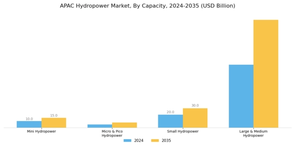 APAC Hydropower Market Segment Image 0