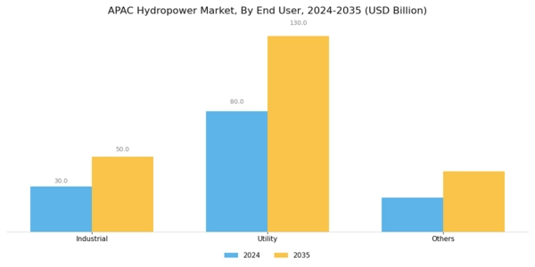 APAC Hydropower Market Segment Image 2