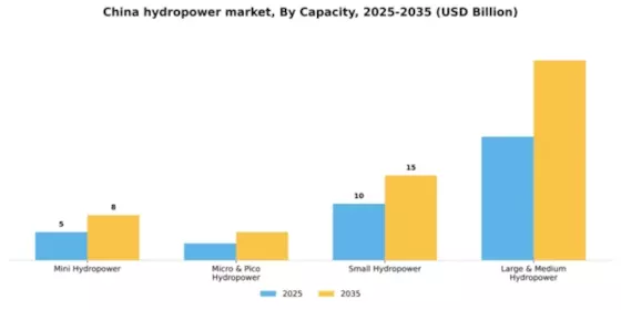 China Hydropower Market Segment Image 0