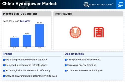 China Hydropower Market Infographic