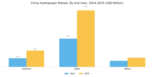 China Hydropower Market Segment Image 2