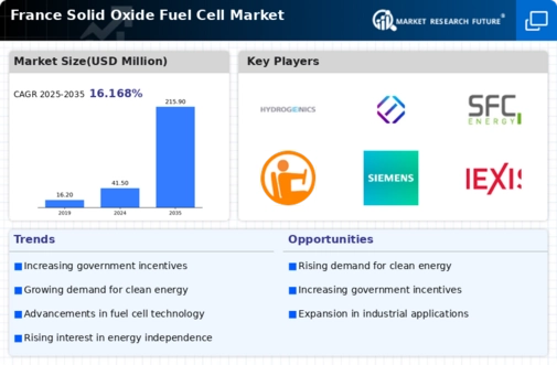 France Solid Oxide Fuel Cell Market Infographic