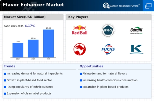 Flavor Enhancer Market Infographic