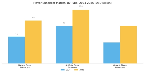 Flavor Enhancer Market Segment Image 1