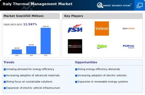 Italy Thermal Management Market Infographic