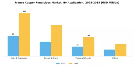 France Copper Fungicides Market Segment Image 0