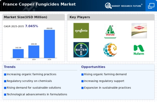 France Copper Fungicides Market Infographic