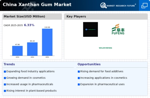 China Xanthan Gum Market Infographic