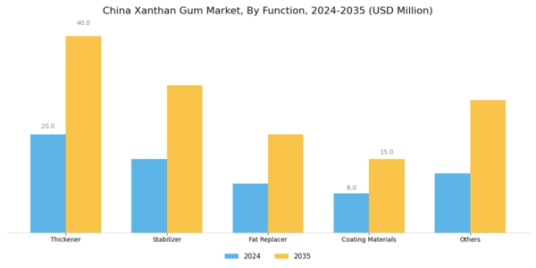 China Xanthan Gum Market Segment Image 1