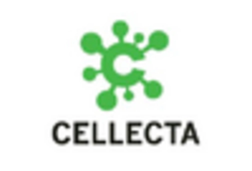 France Rockwool Market key player