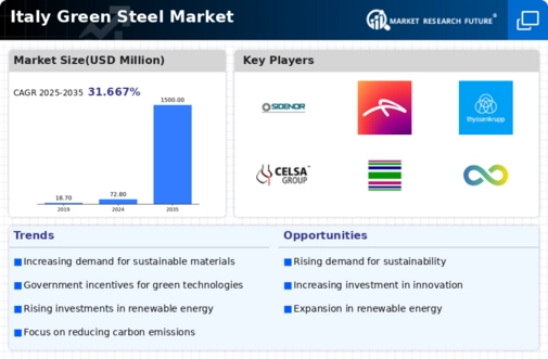 Italy Green Steel Market Infographic