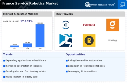 France Service Robotics Market Infographic