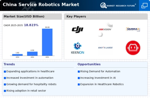 China Service Robotics Market Infographic
