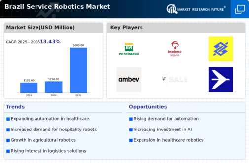 Brazil Service Robotics Market Infographic