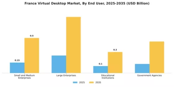 France Virtual Desktop Market Segment Image 2
