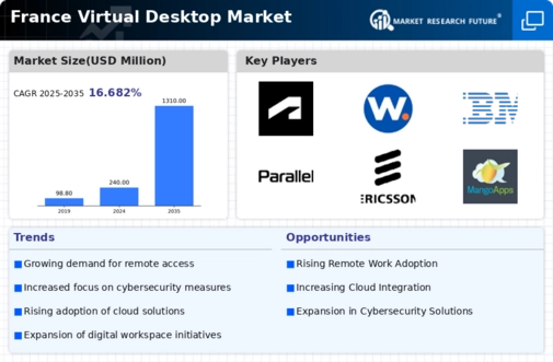 France Virtual Desktop Market Infographic