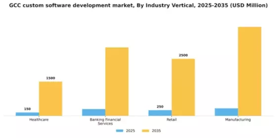 GCC Custom Software Development Market Segment Image 2
