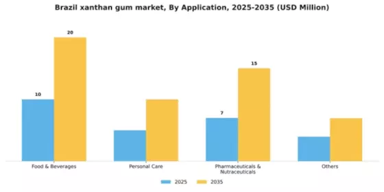 Brazil Xanthan Gum Market Segment Image 0