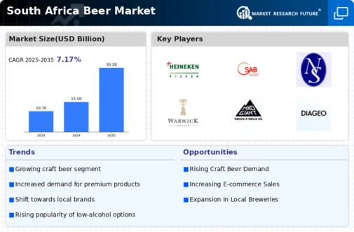 South Africa Beer Market Infographic
