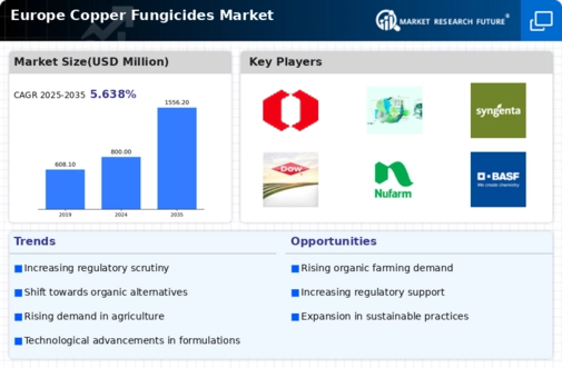 Europe Copper Fungicides Market Infographic