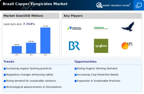 Brazil Copper Fungicides Market Infographic