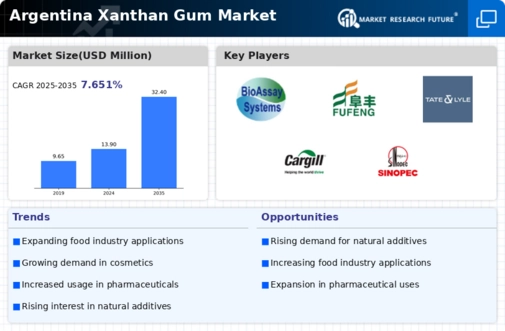 Argentina Xanthan Gum Market Infographic